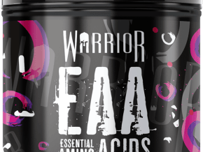 Warrior EAA