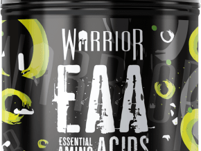 Warrior EAA