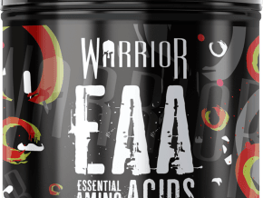 Warrior EAA