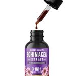 Echinacea Drops 100ml – 3:1 Echinacea Extract with Dandelion & Honeysuckle – Raspberry Flavour - Vegan, Non-GMO, Gluten-Free – GMP Certified